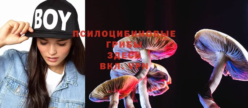 Галлюциногенные грибы MAGIC MUSHROOMS  mega вход  Люберцы  что такое наркотик 